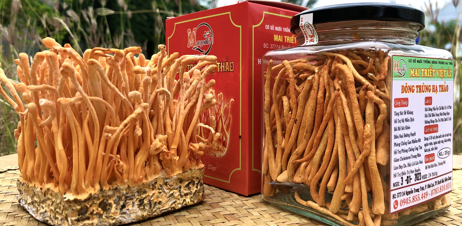 Đông Trùng Hạ Thảo Sấy Khô 25gram